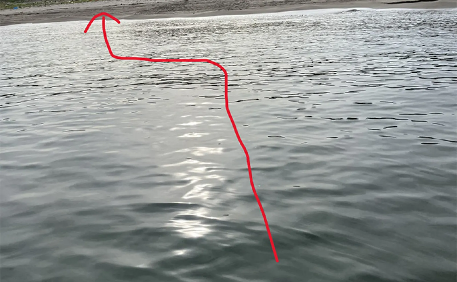 サーフでのウェーディングルアー釣行で60cm級マゴチをキャッチ【秋田