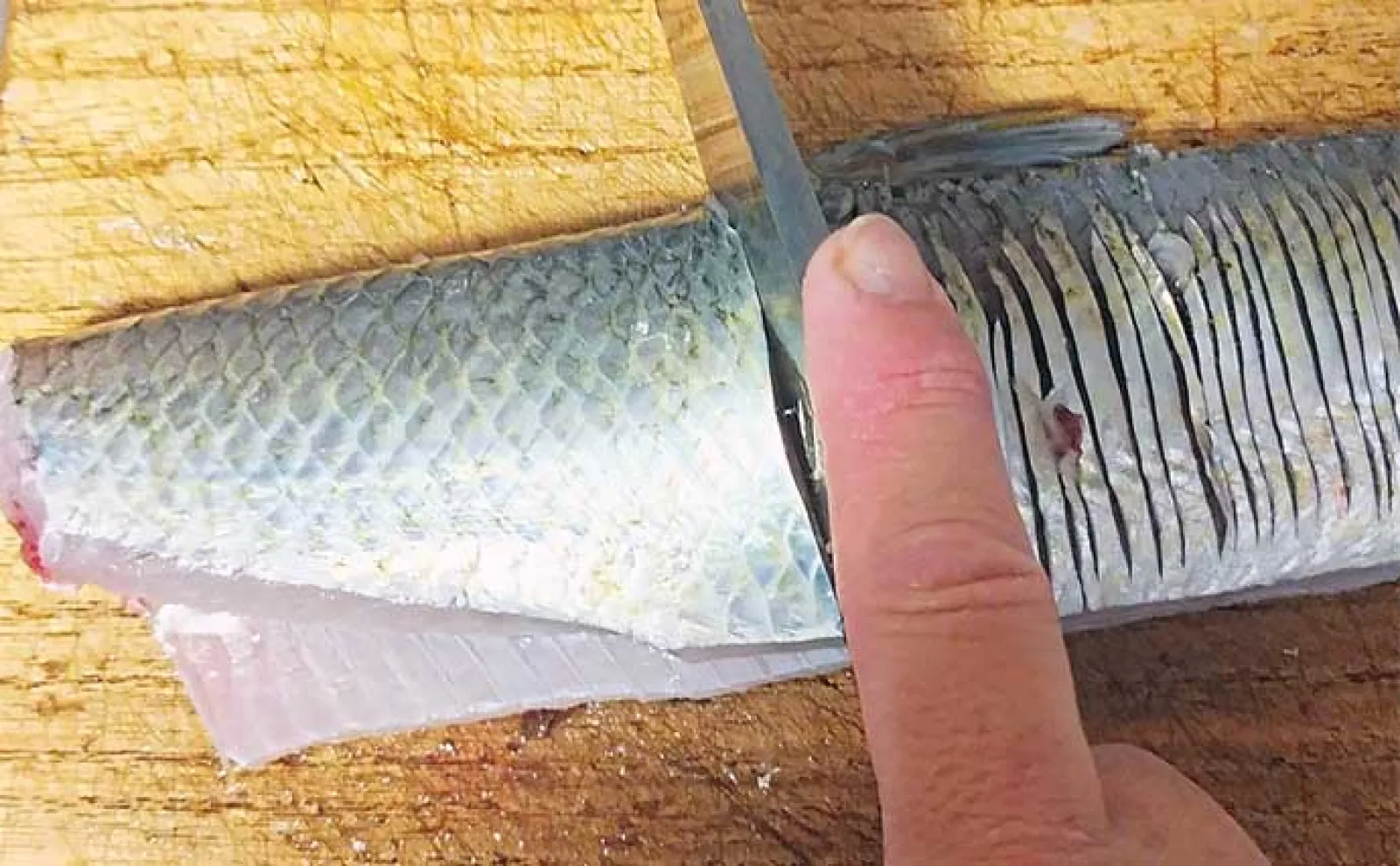 釣った魚で作る「カルシウム満点」レシピ:ヒラのバター焼き 骨切りが大事