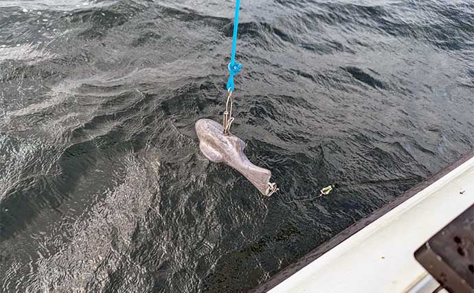 琵琶湖レイクトローリング釣行で50cm超えビワマスと対面 リリース多数でお土産は3匹ずつ | アウトドア |  カーライフ・カー用品サイトMOBILA（モビラ）