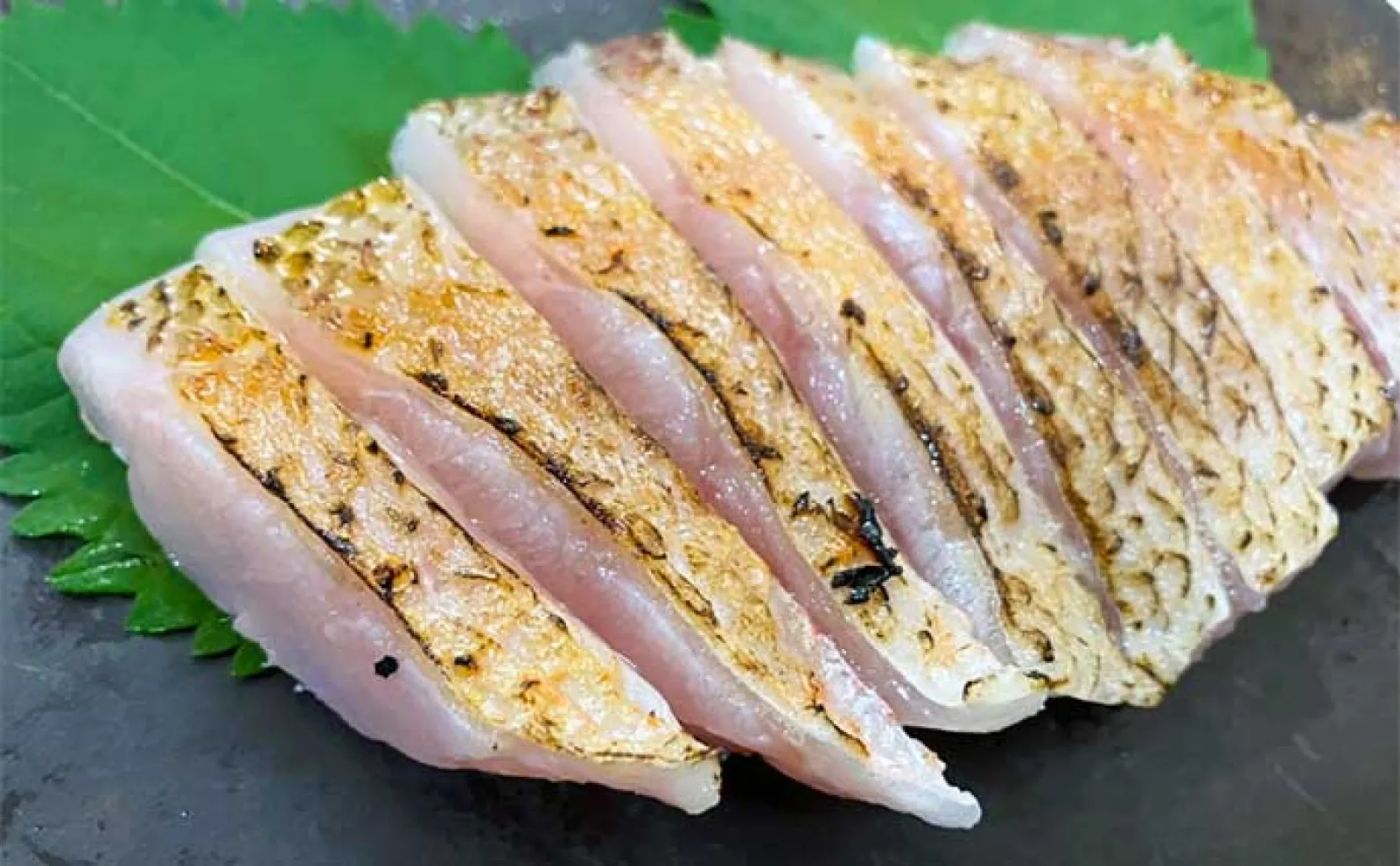 釣り好きパパにオススメ!子供と一緒に楽しむ夏休み自由研究【釣った魚の食べ比べ】