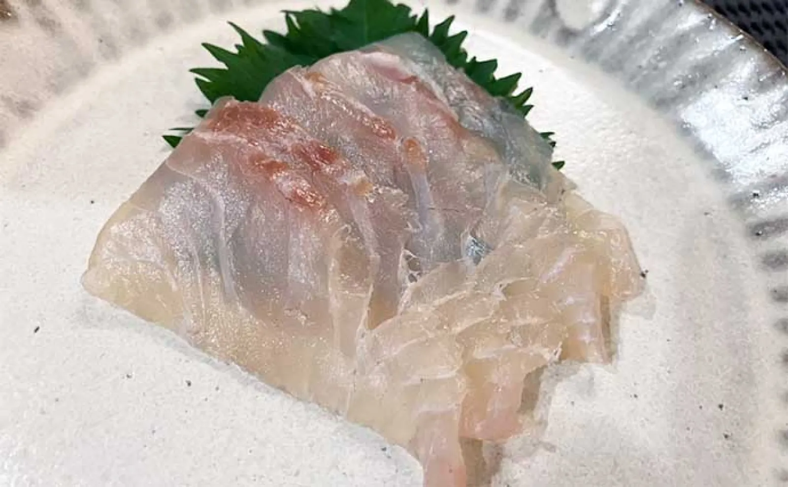 釣り好きパパにオススメ!子供と一緒に楽しむ夏休み自由研究【釣った魚の食べ比べ】