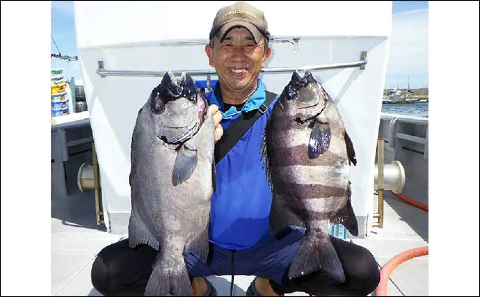 【沖釣り釣果速報】夜の名古屋港ルアーフィッシングで大型キジハタ浮上(愛知)