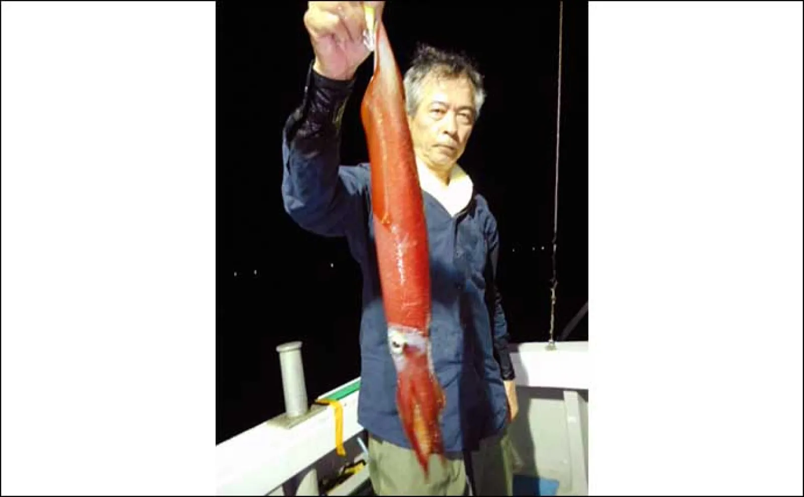 【夜焚きイカ釣果速報】小学生アングラーが50尾以上と大健闘!(福岡)