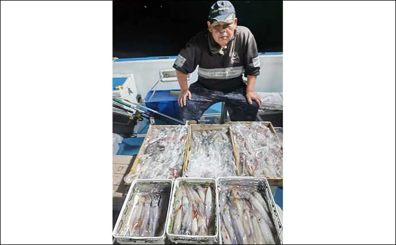 【夜焚きイカ釣果速報】小学生アングラーが50尾以上と大健闘!(福岡)