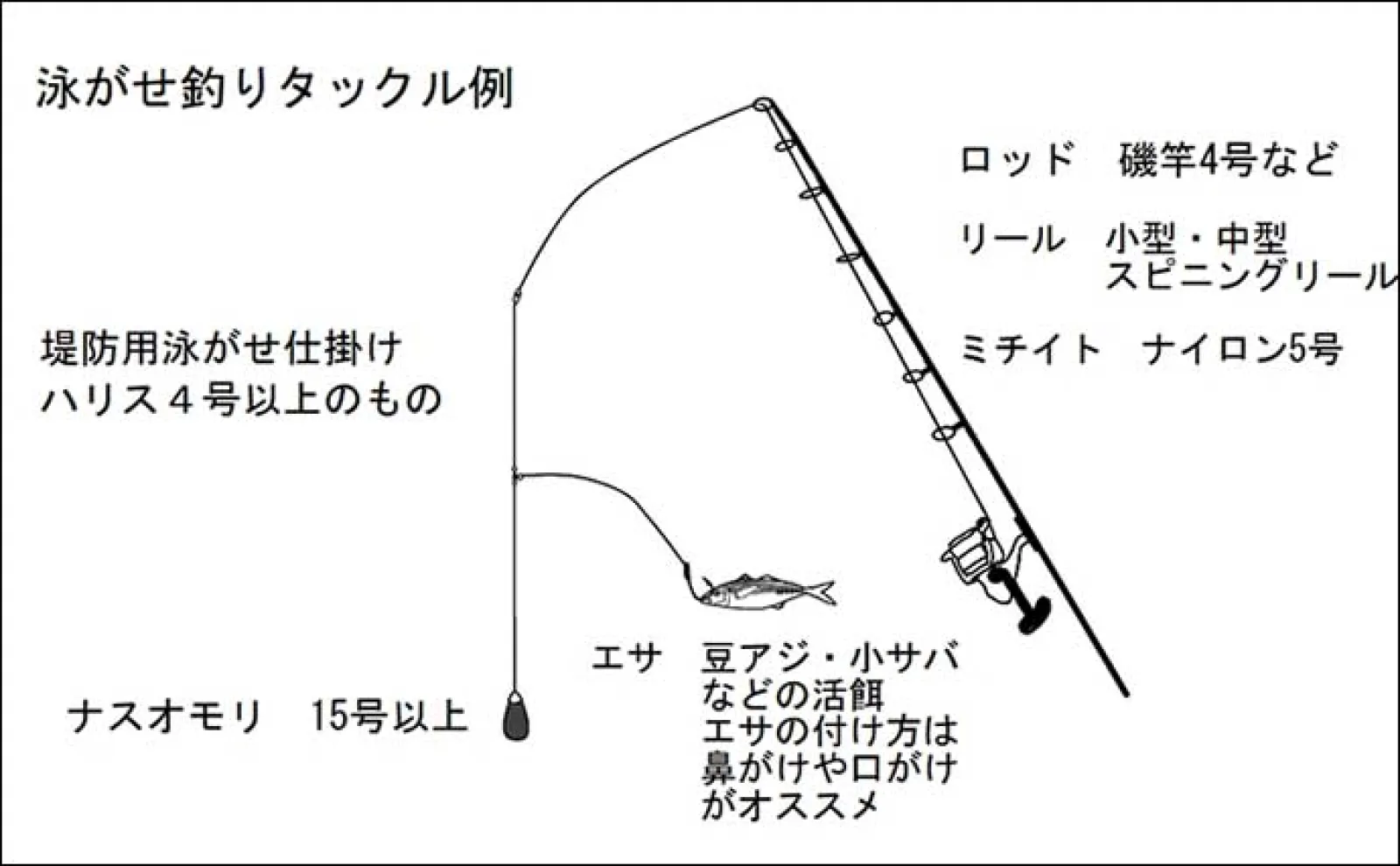 【直江津港第三東防波堤】8月の初心者向け釣り物3選 それぞれの釣り方も徹底解説