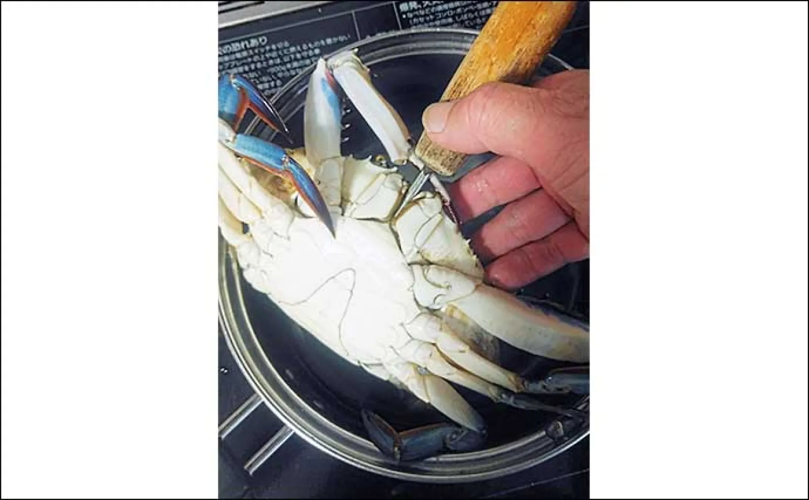 釣りのゲストで作るレシピ:ワタリガニのネズ和え 身は冷凍保存も可能