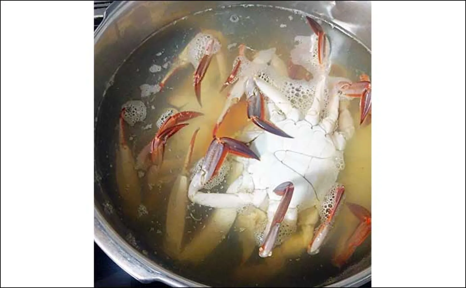 釣りのゲストで作るレシピ:ワタリガニのネズ和え 身は冷凍保存も可能