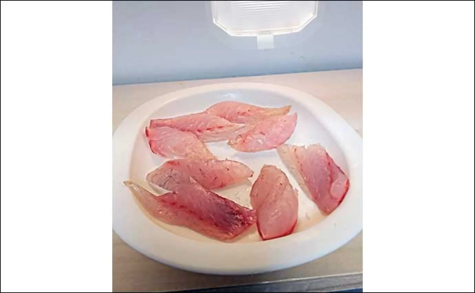 釣魚で作る「ご飯のお供」レシピ:キビレの干物 切り身にしてから干してOK