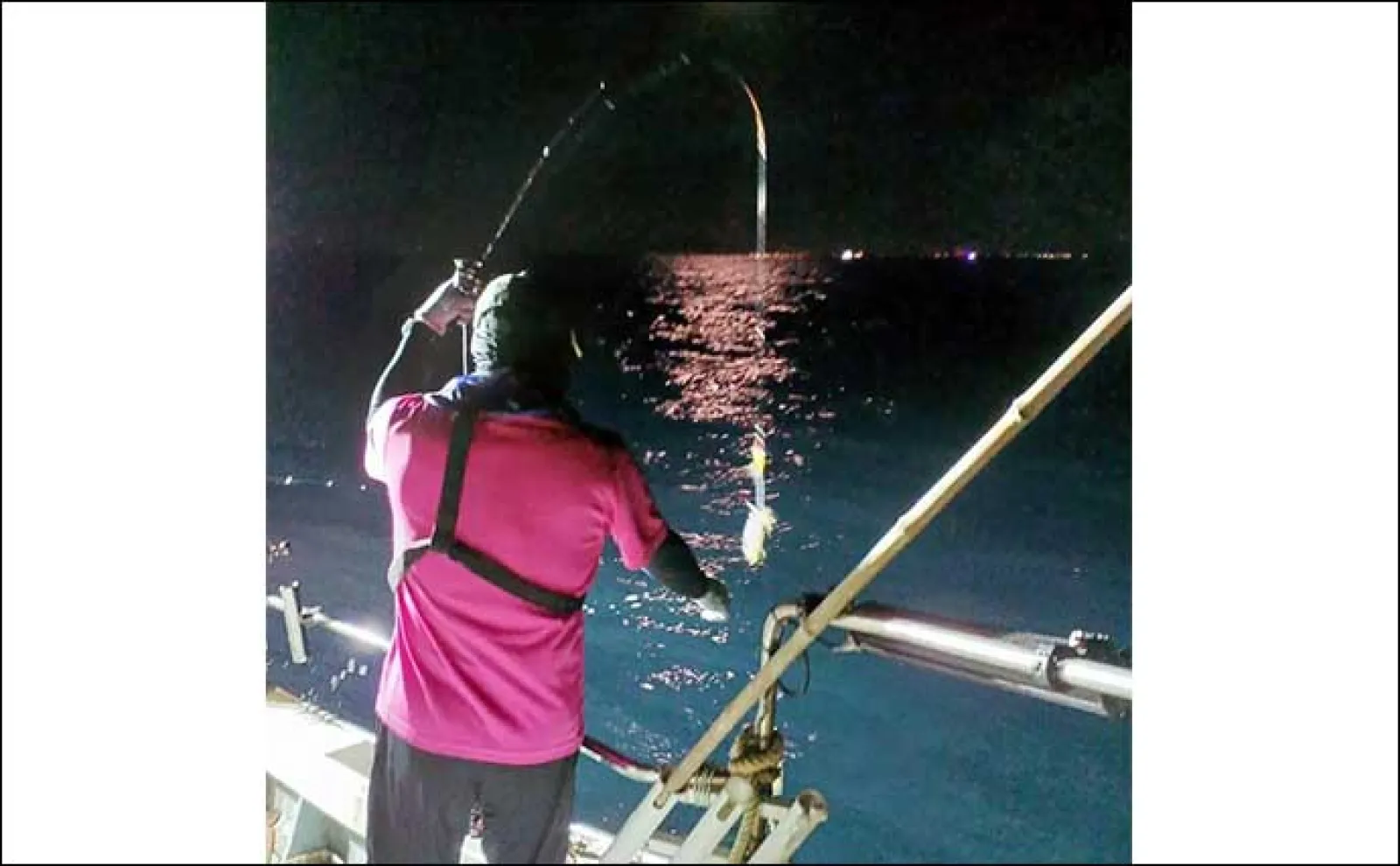 夜焚きイカメタル釣行でケンサキイカ37杯【山口・松福丸】秘策の「味の素」の効果は?