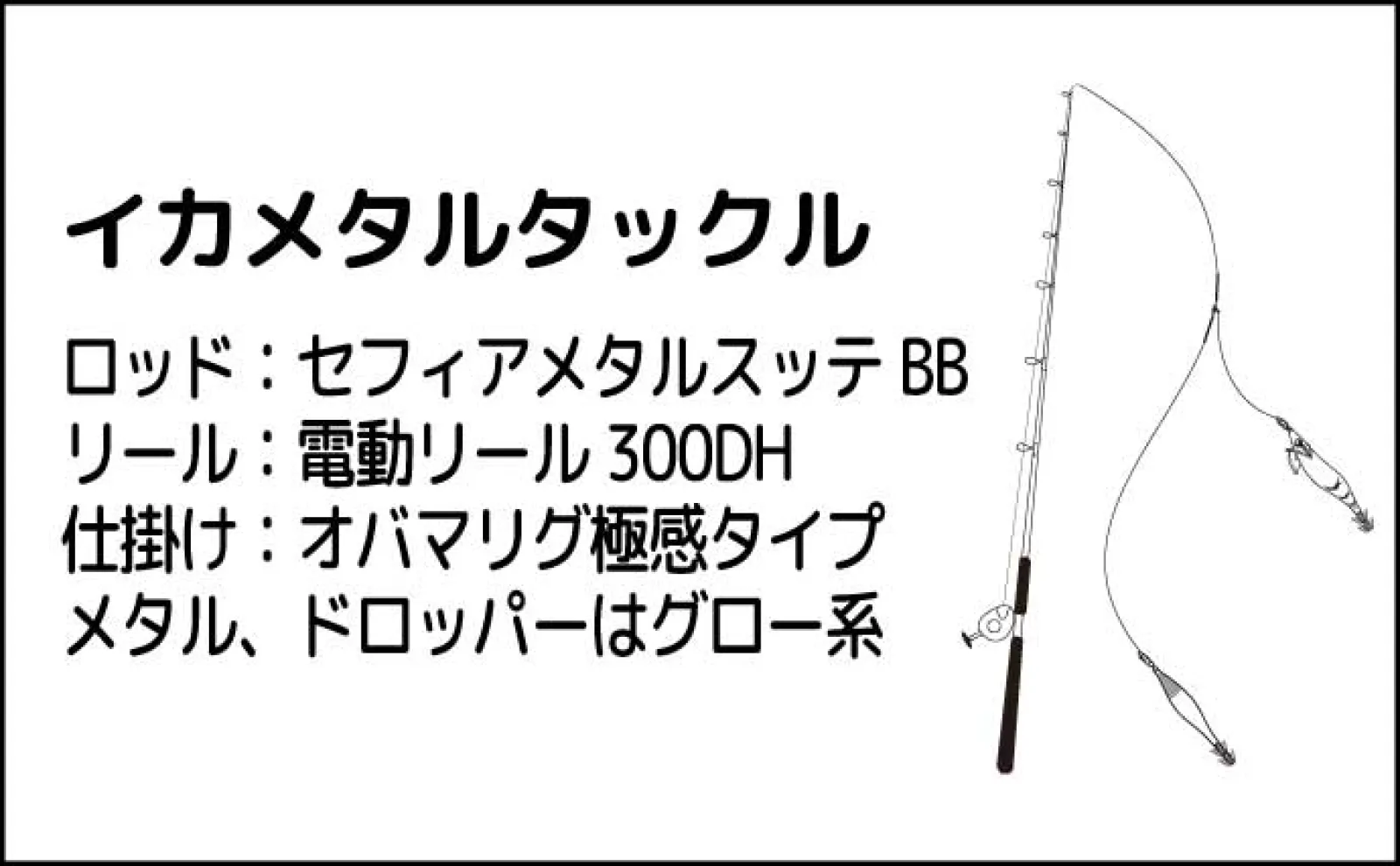 夜焚きイカメタル釣行でケンサキイカ37杯【山口・松福丸】秘策の「味の素」の効果は?
