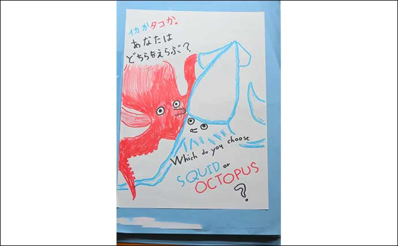 海洋生物好きの夏休み自由研究テーマ紹介:イカとタコを調査比較「似てそうで意外と違う?」