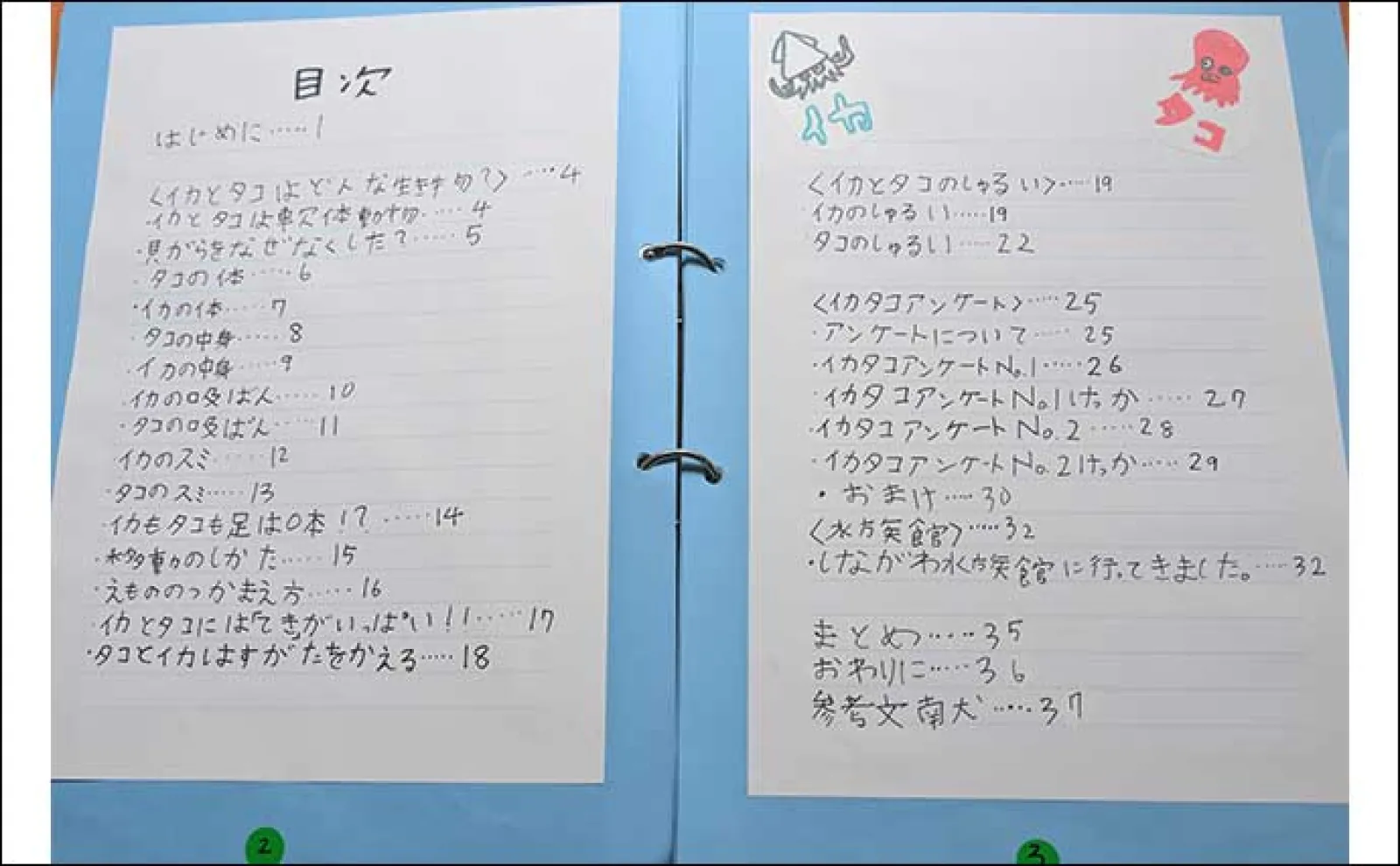 海洋生物好きの夏休み自由研究テーマ紹介:イカとタコを調査比較「似てそうで意外と違う?」