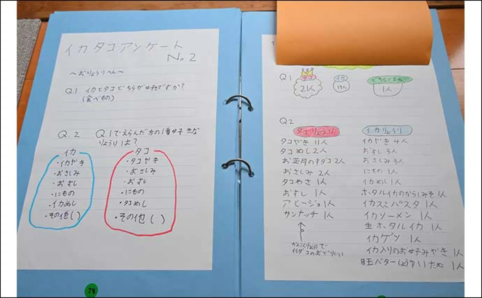 海洋生物好きの夏休み自由研究テーマ紹介:イカとタコを調査比較「似てそうで意外と違う?」