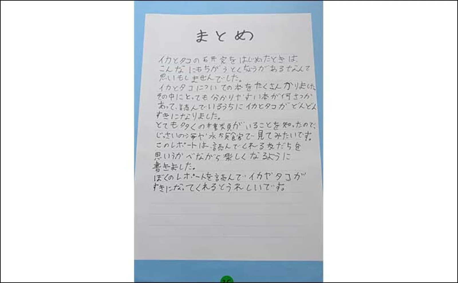海洋生物好きの夏休み自由研究テーマ紹介:イカとタコを調査比較「似てそうで意外と違う?」