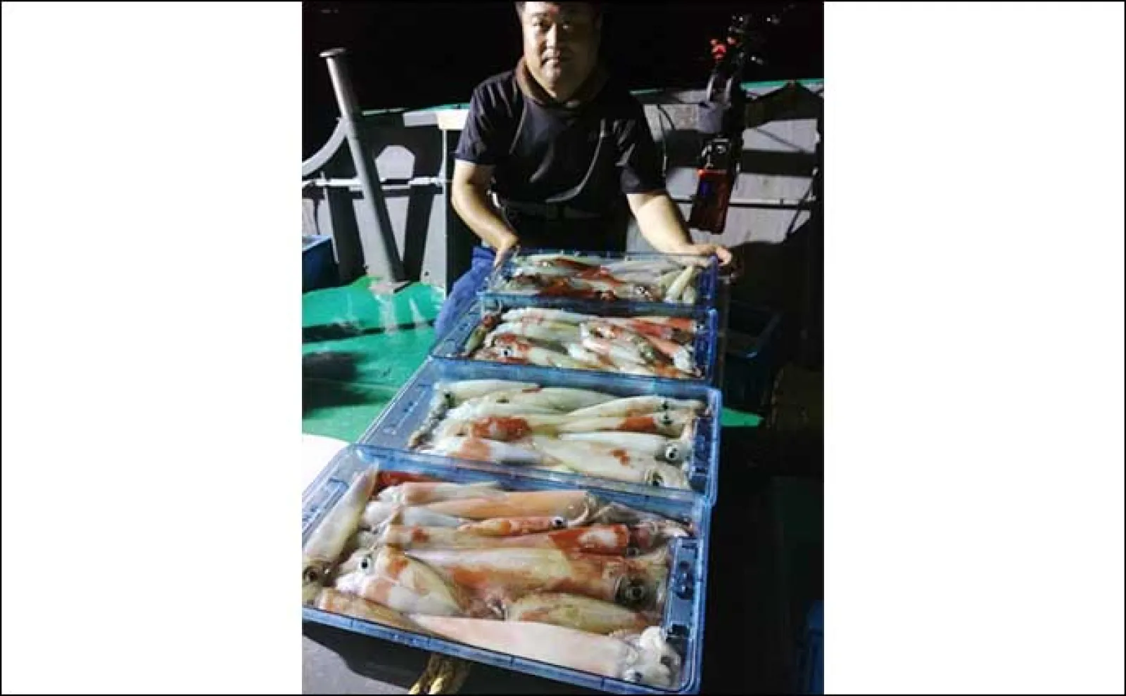 【夜焚きイカ釣果速報】胴突き・イカメタル共にクーラー満タン釣果!(福岡)