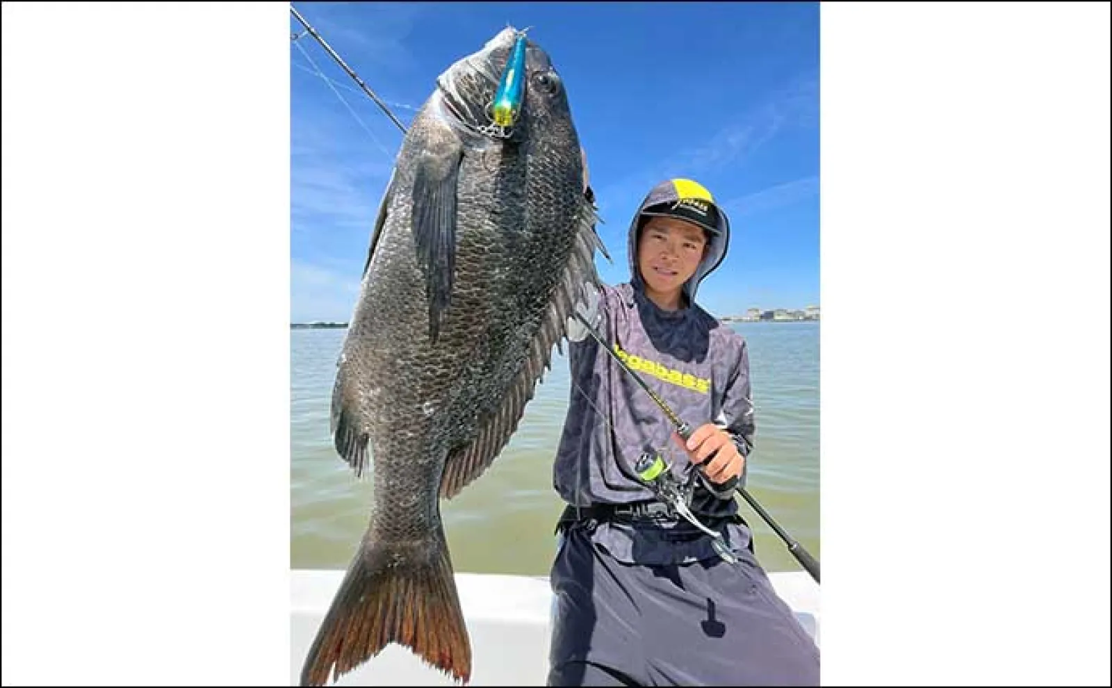 釣りをしながら夏休みの自由研究のススメ【魚の鱗(ウロコ)で年齢を考察してみよう】