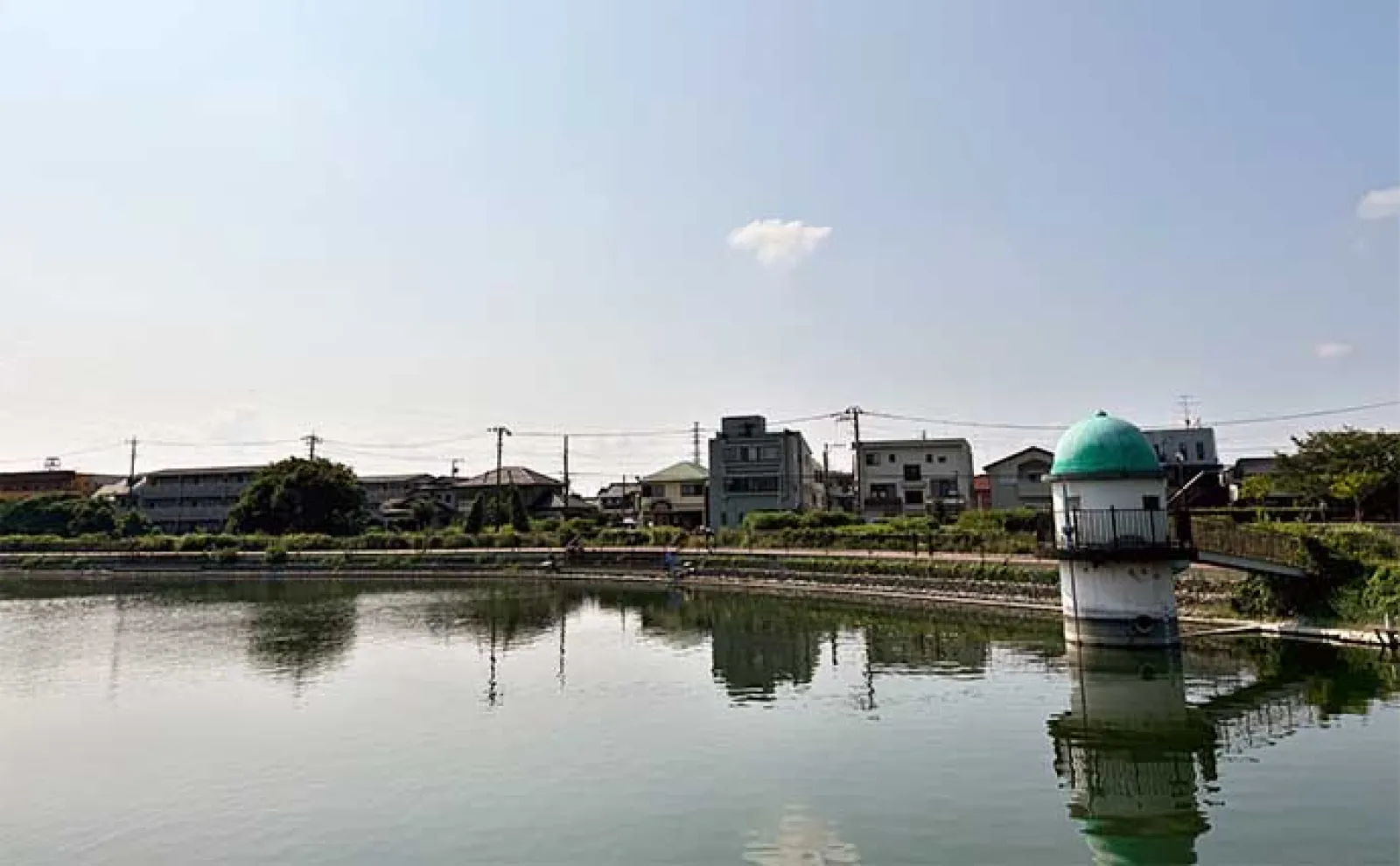 今週のヘラブナ推薦釣り場2024【静岡・門池】