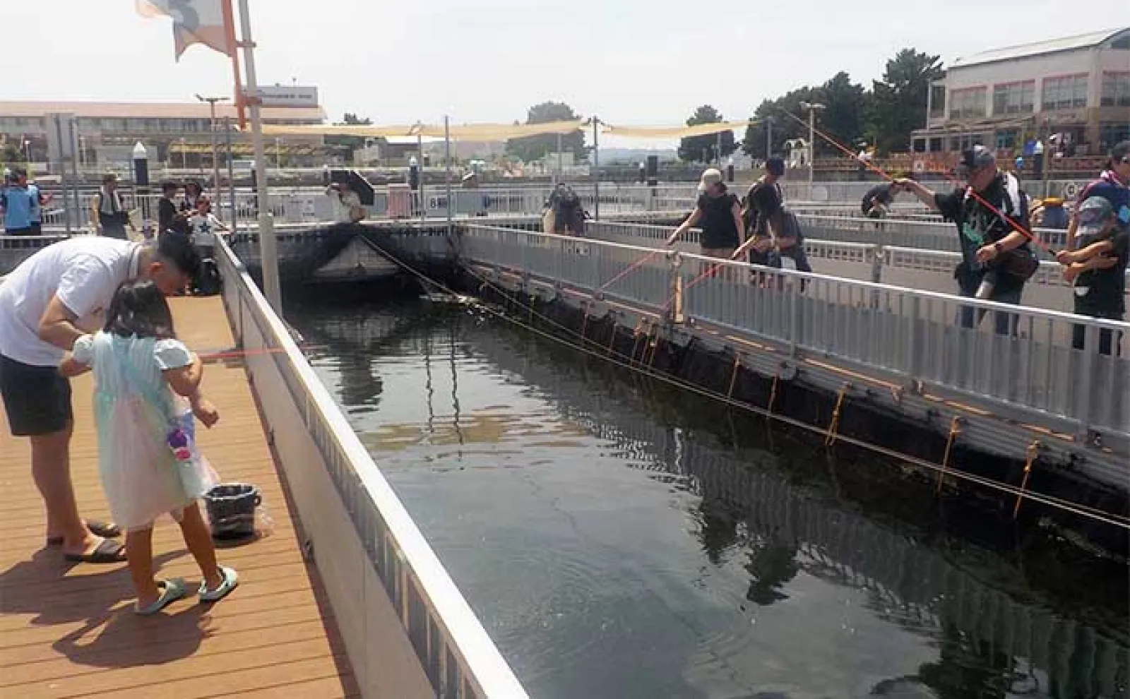 「水族館で釣り?」八景島シーパラダイスでアジを釣ってアジバーガーを堪能【神奈川】