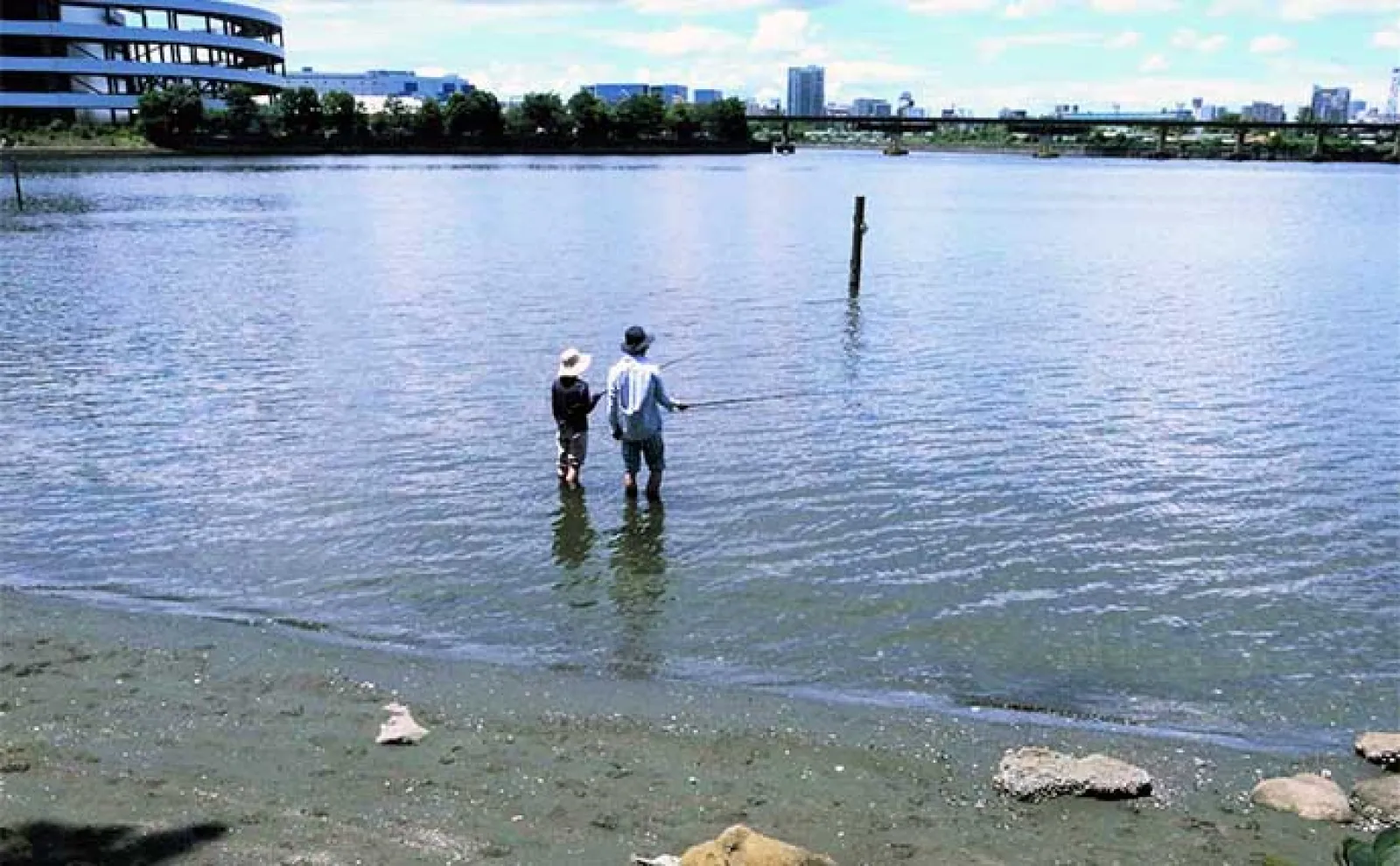 東京の人気ハゼ釣り場『大井ふ頭中央海浜公園』を紹介 2つの代表的なポイントを解説