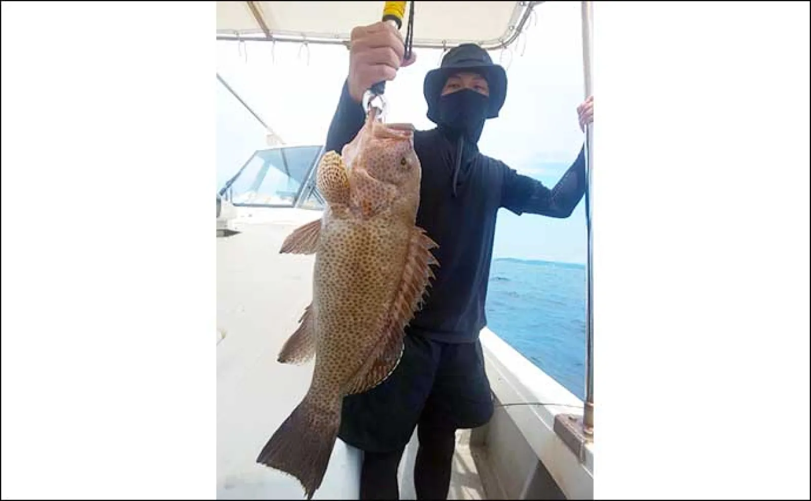 【船釣り・磯釣り釣果速報】夜の地磯で13.5kgアラ(クエ)堂々浮上《長崎・佐賀》