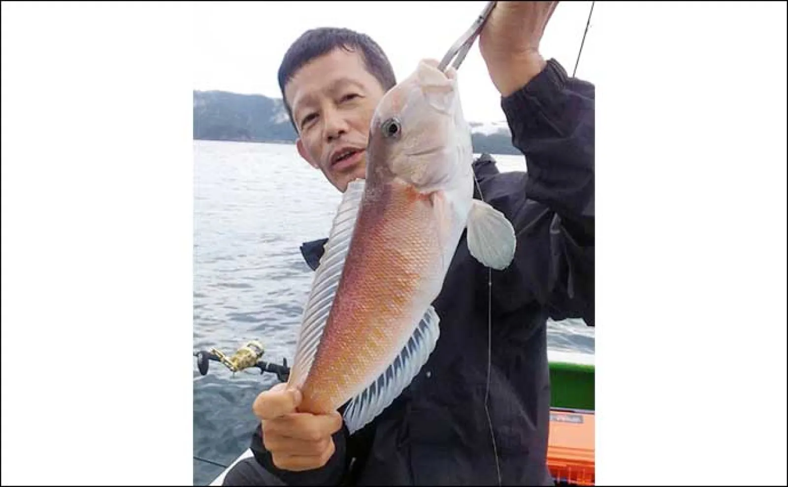 【船のエサ釣り釣果速報】タテ(落とし込み)釣りで31kg大型クエ浮上!(三重)