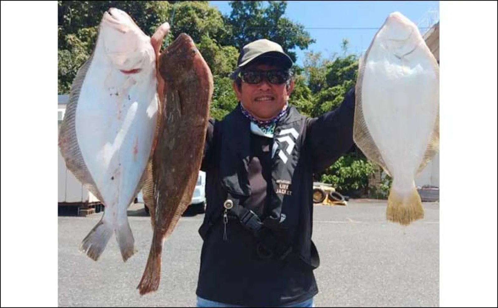 【船のエサ釣り釣果速報】タテ(落とし込み)釣りで31kg大型クエ浮上!(三重)