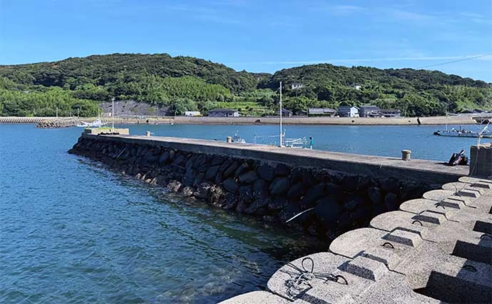 波止フカセ釣りで54cm頭に50cm超え「年無し」チヌ3連発!【長崎・釜田漁港】