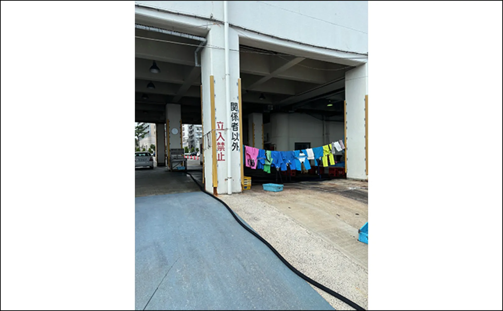 釣り場で出会った人との気になる雑談テーマ「今はちりめん!一番儲けるのは問屋?」