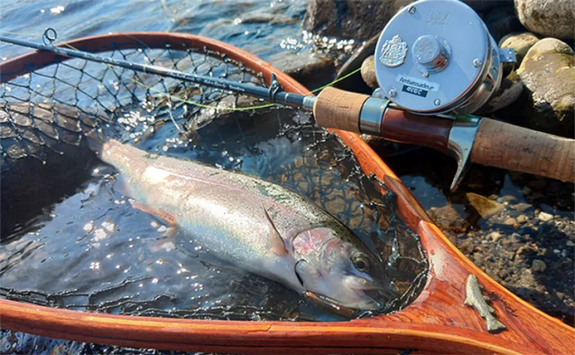 「本流トラウトの聖地」犀川でのルアー釣行で65cmブラウントラウトに35cmレインボー【長野】
