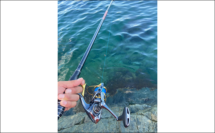 夏の磯フカセ釣りでグレにチヌ連打【山口】激浅ポイントでスリリングな