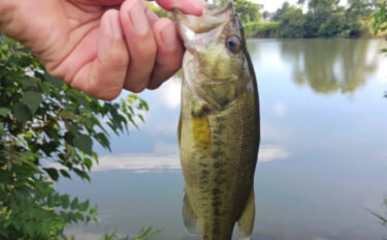 まとめ売り　ラバージグ 25個セット　バス釣り　バス　フィッシング Secret Reveal] We'll teach you the best combination of rubber jigs