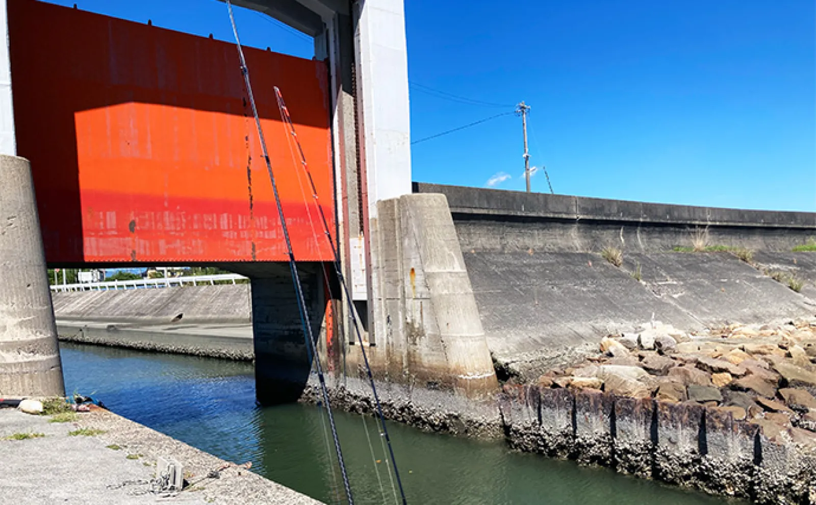 堤防チョイ投げ釣りで18cm良型ハゼ登場【三重・若松漁港】1時間で本命8
