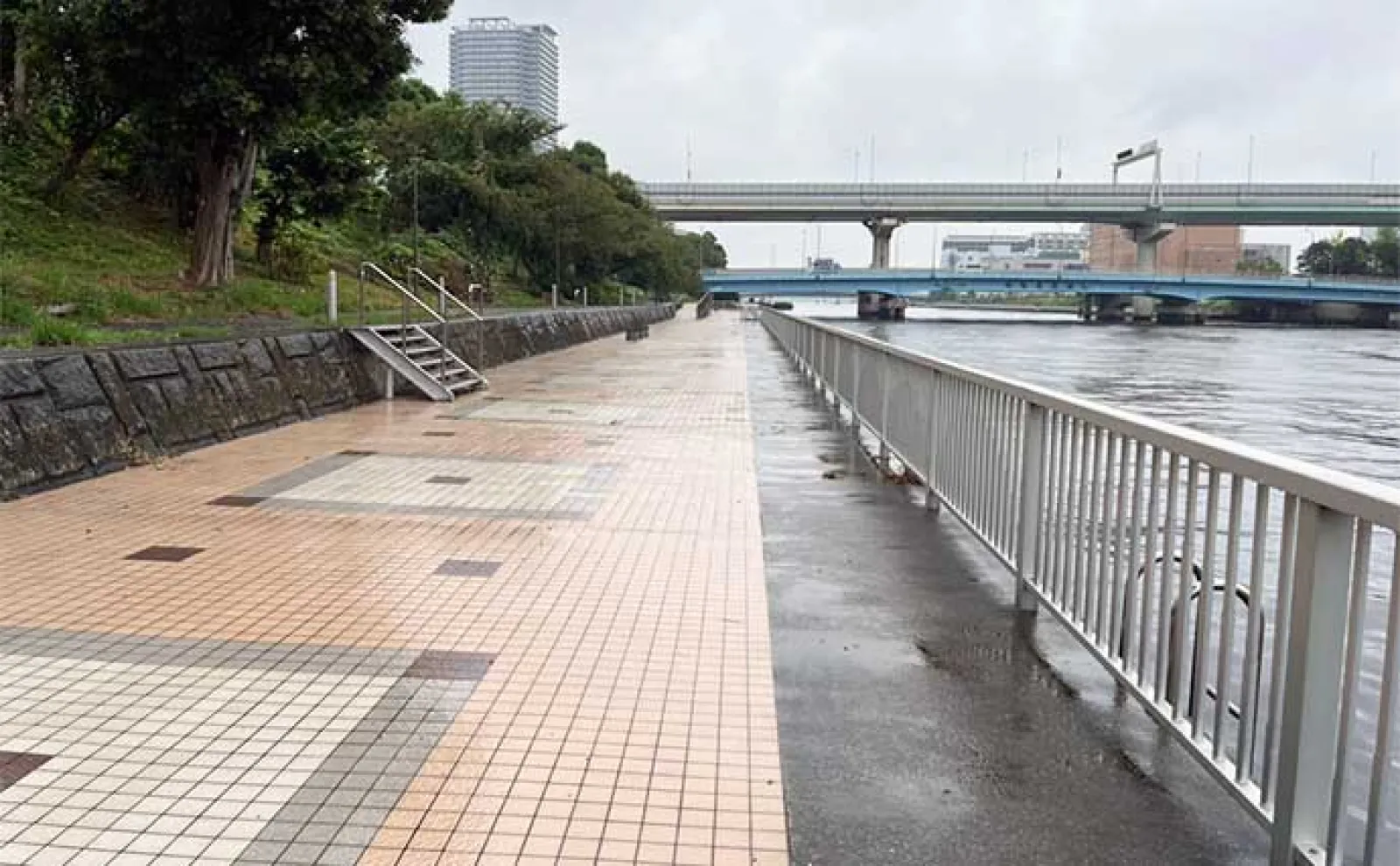 初の東京湾ヘチ(落とし込み)釣りでクロダイ4枚【潮見運動公園】1投目からアタリ到来!