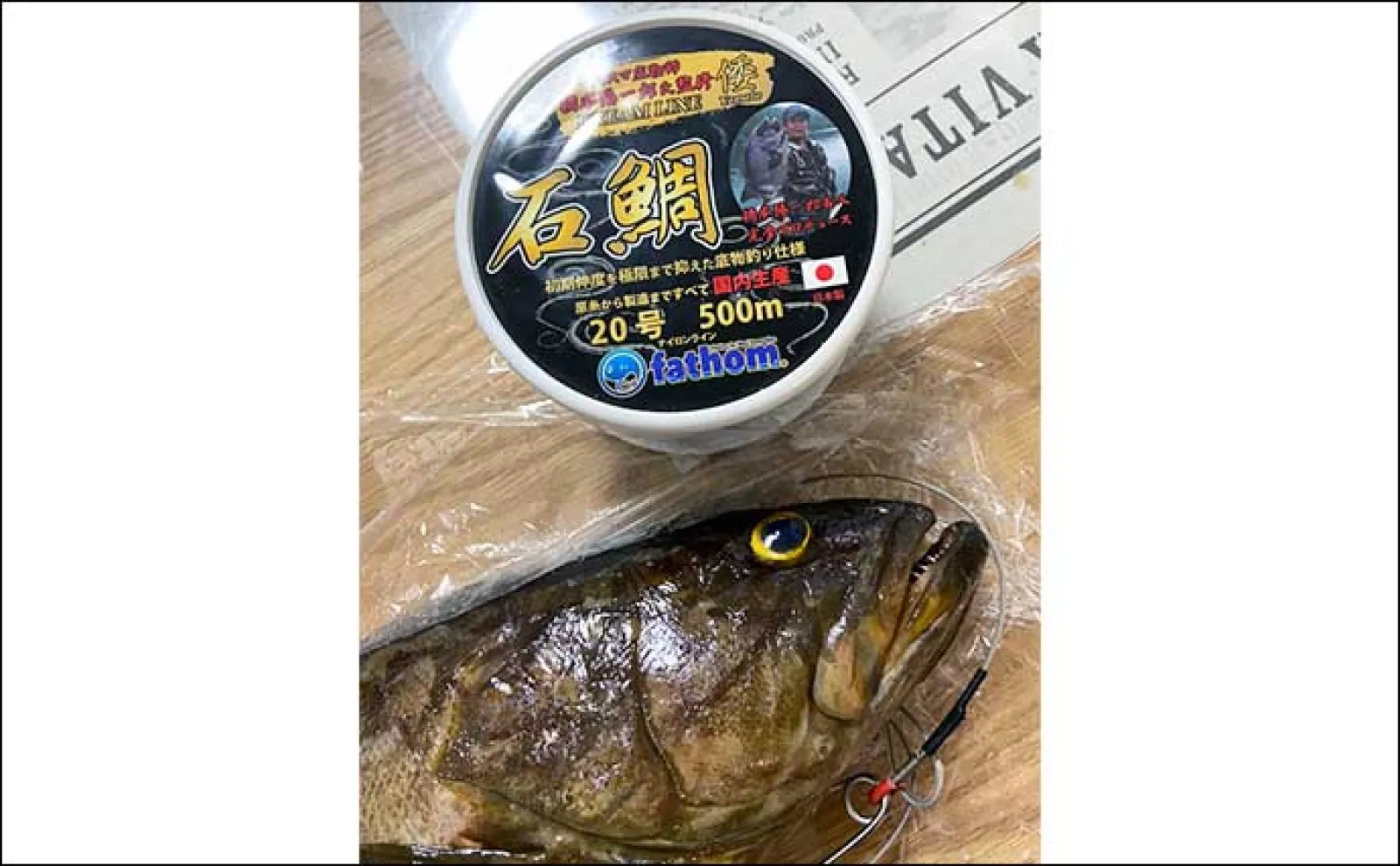 磯に通うこと足掛け2年！」初のアラ（クエ）をキャッチ【山口】48cm2kg