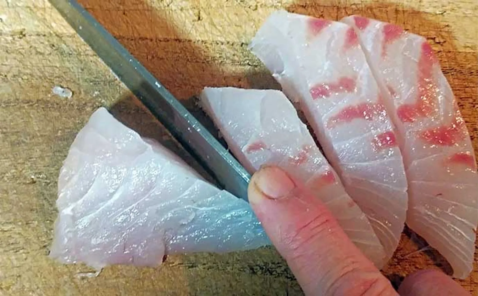 釣った魚で作る「病みつき」レシピ:熟成イシダイ コツは厚めに切ること