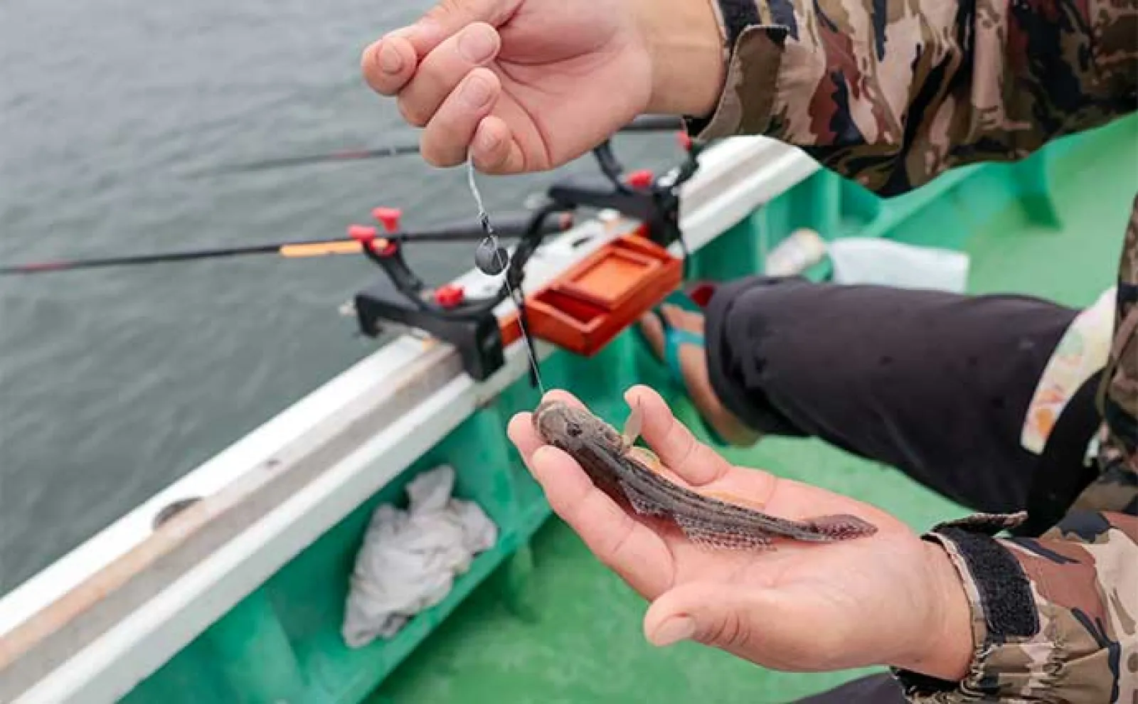 東京湾の船ハゼ釣りでトップ152尾手中【深川冨士見】日によっては200尾