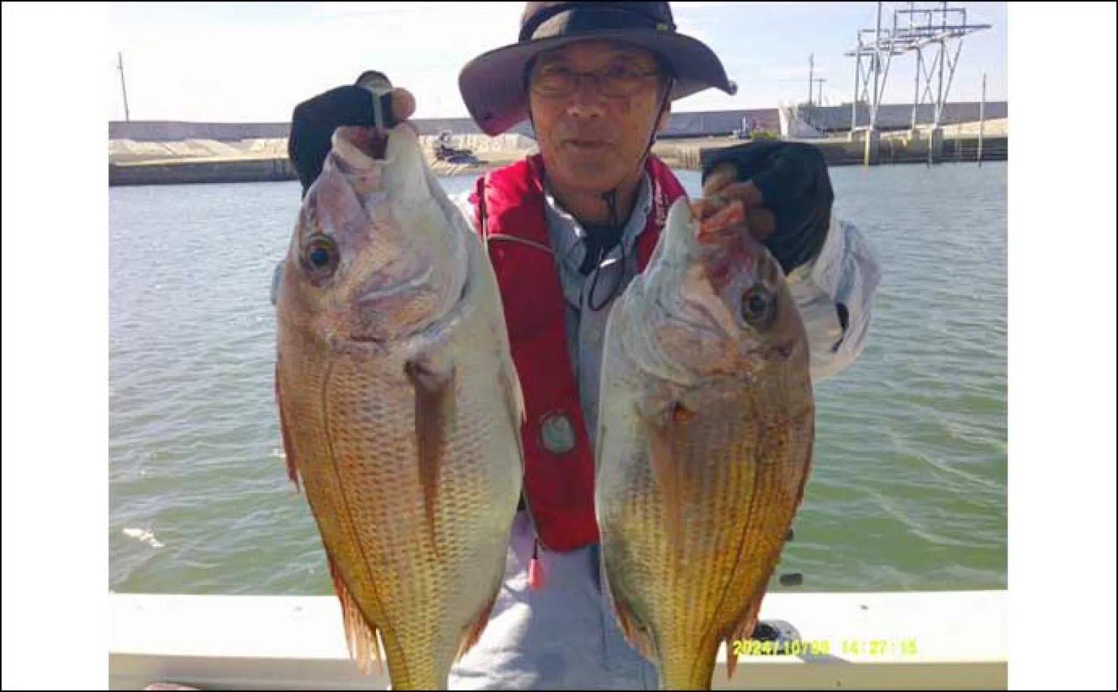 【船釣り釣果速報】タチウオ釣りで指幅8本級を頭に大型の数釣りチャンス!(大分・熊本)