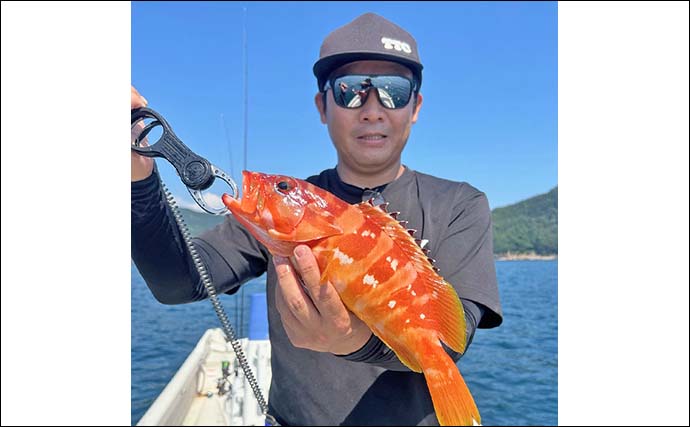 レンタルボートでのロックフィッシュゲームで47cm良型オオモンハタ浮上