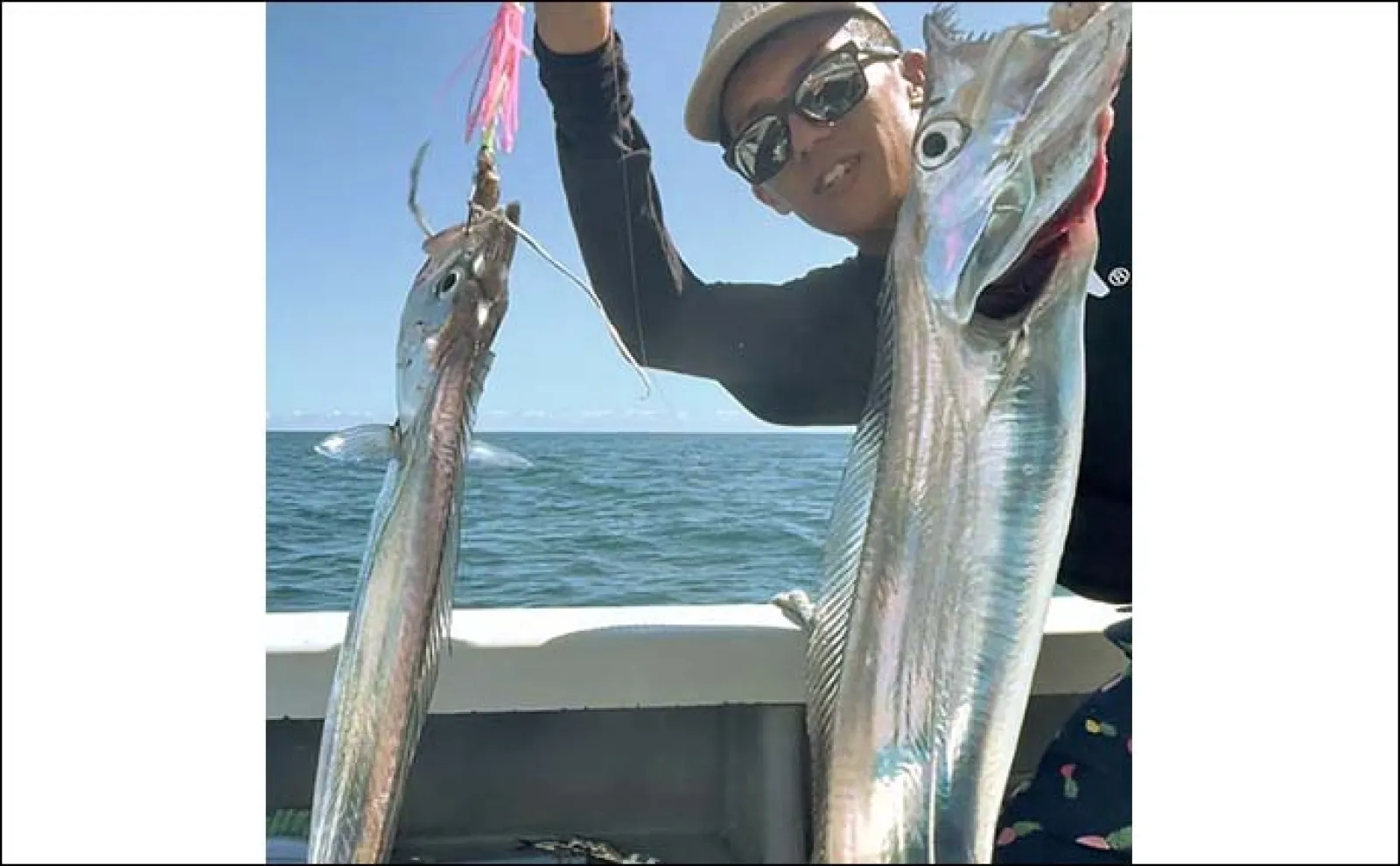 天竜沖での天秤タチウオ釣りで45匹キャッチ 平均サイズが指4〜6本級と良型率高し!