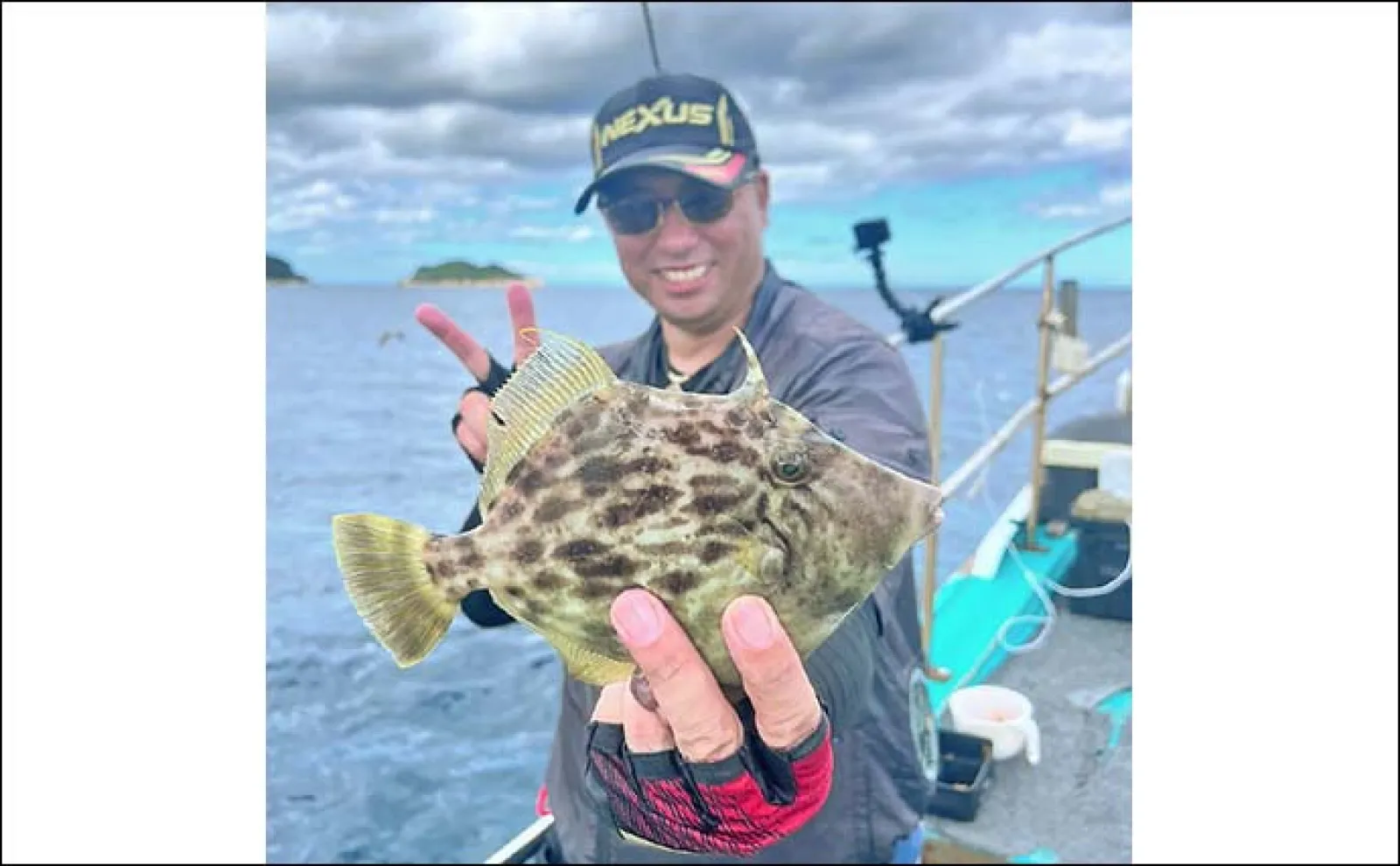 船カワハギ釣りで30cmオーバー含めて大型本命が船中連発!【山口・剛龍丸】