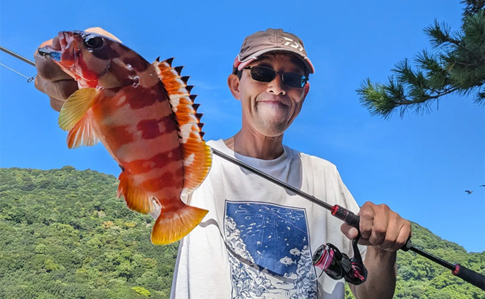 エギング＆ライトソルトゲームの二刀流釣行【三重】600g超アオリイカや