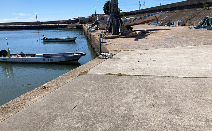 ハゼ　ミツバツツジ　2点おまとめ 堤防チョイ投げ釣りで18cm良型ハゼ登場【三重・若松漁港】1時間で本命8