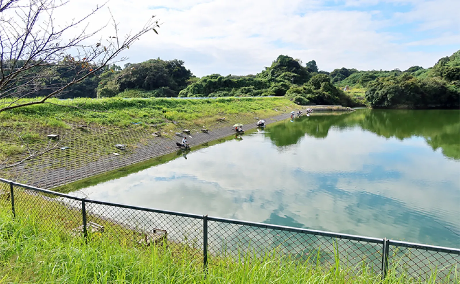 今週のヘラブナ推薦釣り場2024【静岡・七曲の池】 | アウトドア