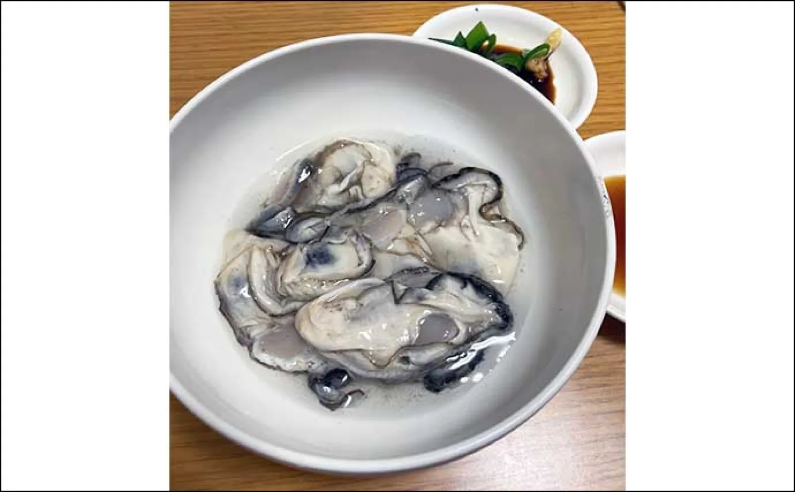 「海にも外来生物っているの?」日本の海洋生物が海外では外来種とされている例も