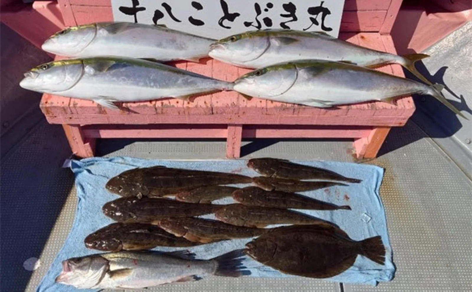 【沖のルアー釣果速報】トンボジギングで10kg後半のビンナガが好ヒット!(三重)