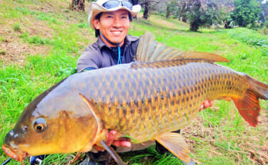 パンコイ釣行で自己記録更新の91cm大ゴイ浮上【元荒川＆新河岸川