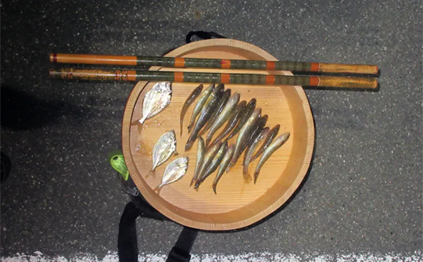 70年前の和竿でハゼ釣りを堪能【和歌山・紀ノ川河口】釣趣を楽しみながらマハゼ16匹を手中