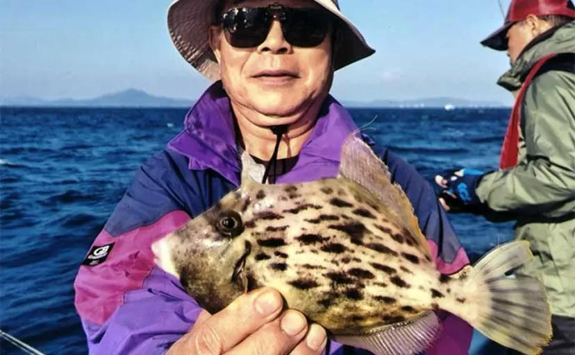 船カワハギ釣りで23cm筆頭に16匹と好釣果【愛知・石川丸】肝じょうゆに舌鼓