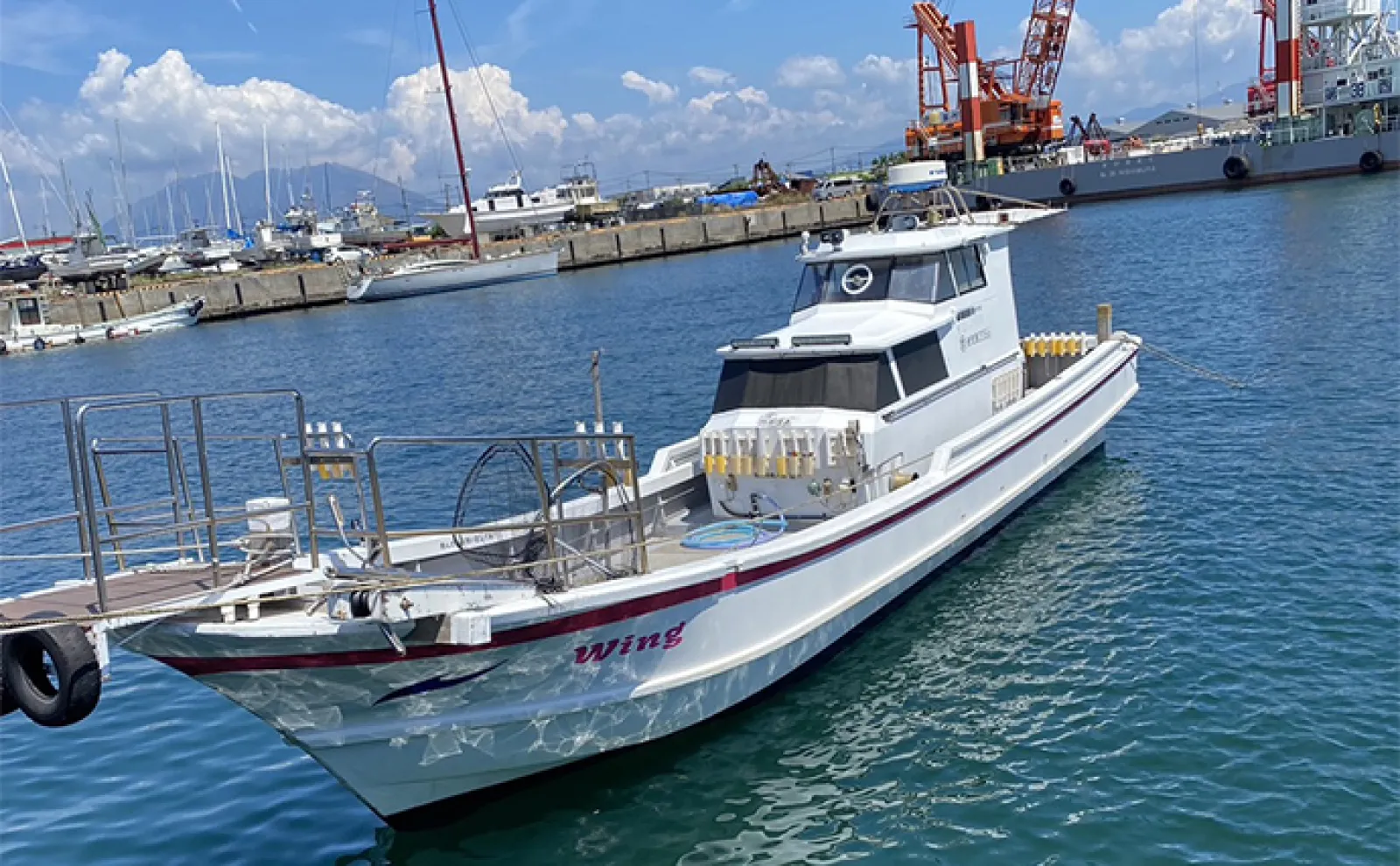 錦江湾遠征ルアー釣行でオオモンハタにマダイにカンパチが大爆釣【鹿児島・遊漁船Wing】