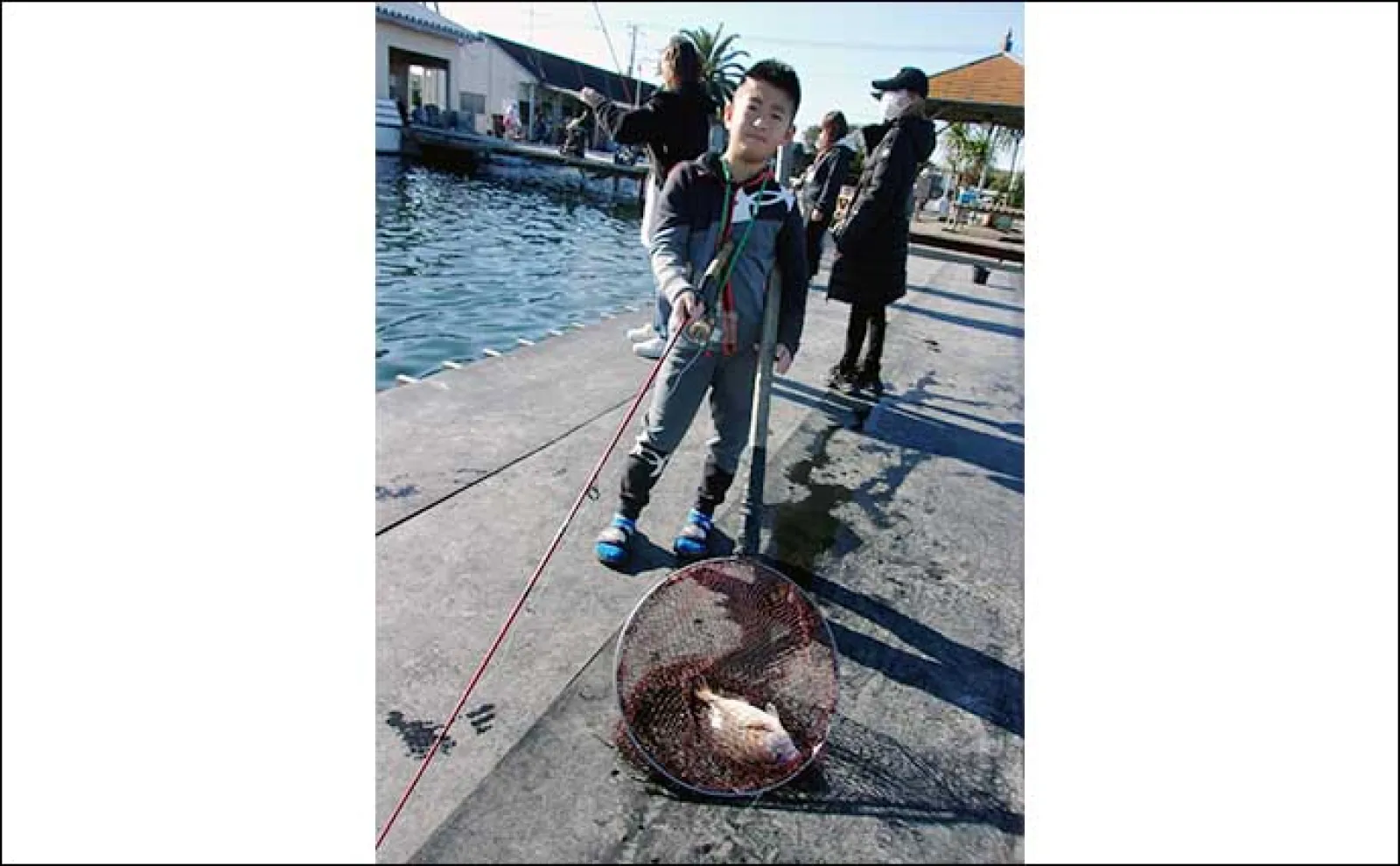 子供連れで賑わう海上釣り堀『九十九里海釣りセンター』でマダイに青物